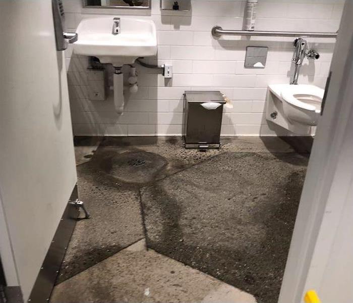 Commercial sewage backup in bathroom 